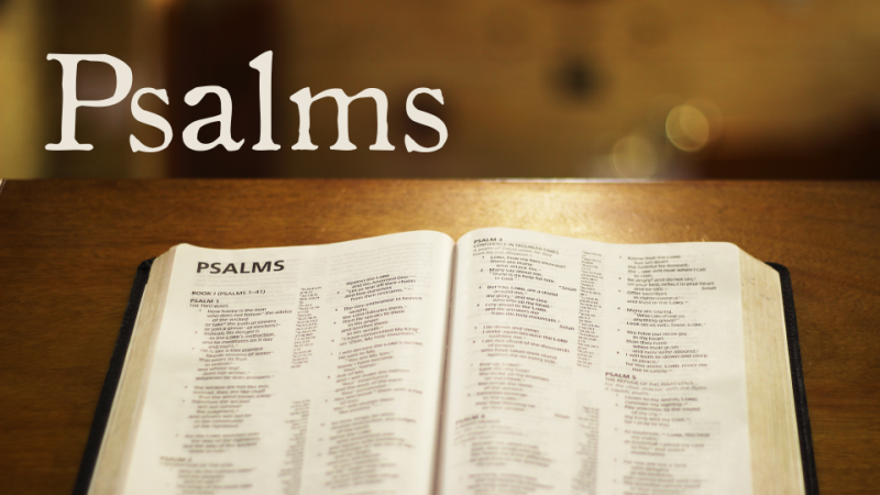 Summer of Psalms